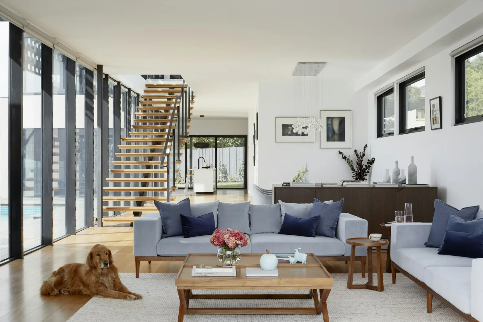 Living room opening to a pool through full height glass, a dog resting on the floorboards